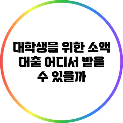 대학생을 위한 소액 대출: 어디서 받을 수 있을까?