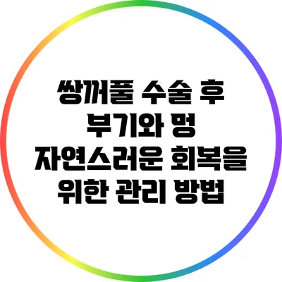 쌍꺼풀 수술 후 부기와 멍: 자연스러운 회복을 위한 관리 방법