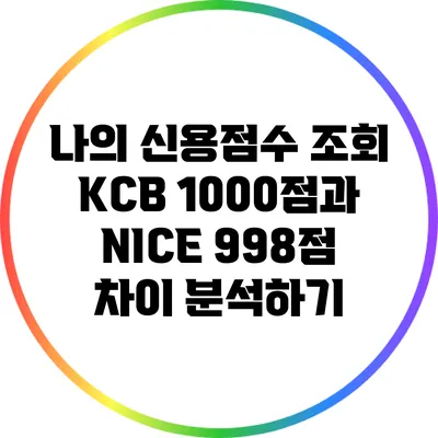 나의 신용점수 조회: KCB 1000점과 NICE 998점 차이 분석하기