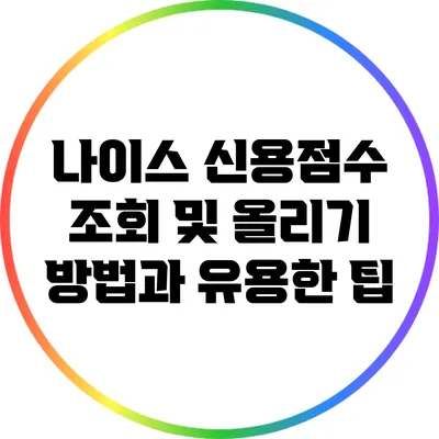 나이스 신용점수 조회 및 올리기 방법과 유용한 팁
