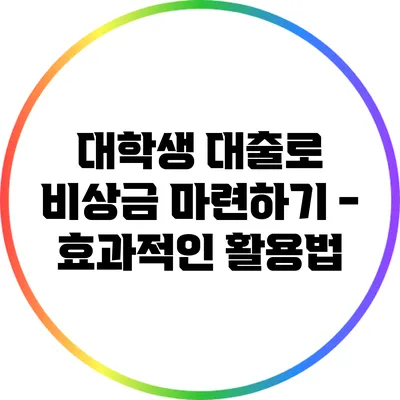 대학생 대출로 비상금 마련하기 - 효과적인 활용법