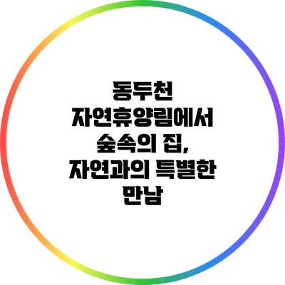 동두천 자연휴양림에서 숲속의 집, 자연과의 특별한 만남