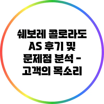 쉐보레 콜로라도 A/S 후기 및 문제점 분석 - 고객의 목소리