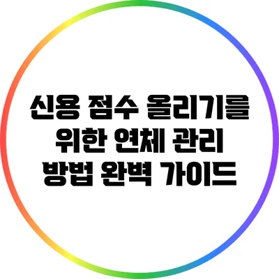 신용 점수 올리기를 위한 연체 관리 방법 완벽 가이드