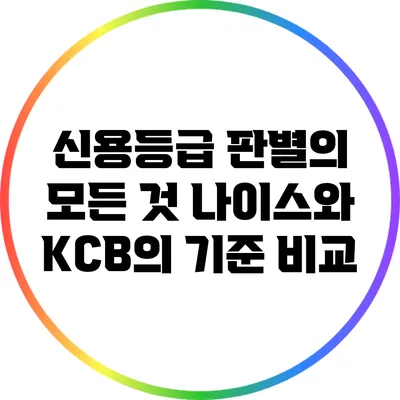 신용등급 판별의 모든 것: 나이스와 KCB의 기준 비교