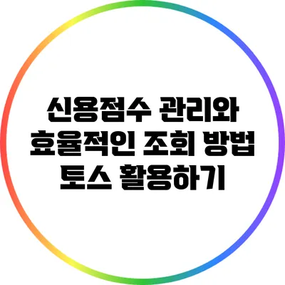 신용점수 관리와 효율적인 조회 방법: 토스 활용하기
