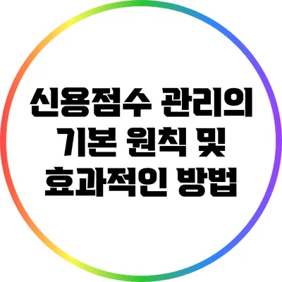 신용점수 관리의 기본 원칙 및 효과적인 방법