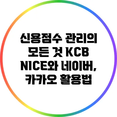 신용점수 관리의 모든 것: KCB NICE와 네이버, 카카오 활용법