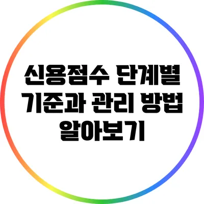 신용점수 단계별 기준과 관리 방법 알아보기