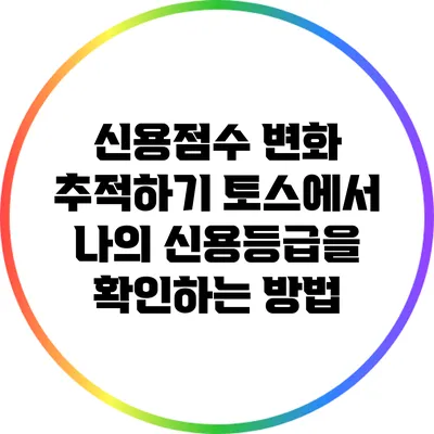 신용점수 변화 추적하기: 토스에서 나의 신용등급을 확인하는 방법