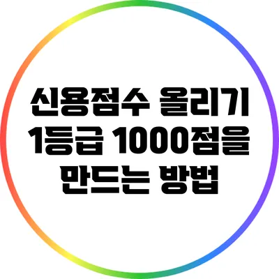 신용점수 올리기: 1등급 1000점을 만드는 방법