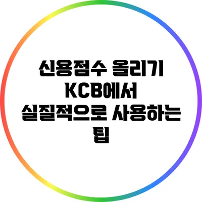 신용점수 올리기: KCB에서 실질적으로 사용하는 팁