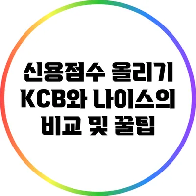 신용점수 올리기: KCB와 나이스의 비교 및 꿀팁