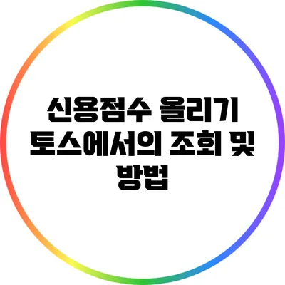신용점수 올리기: 토스에서의 조회 및 방법