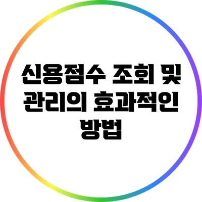 신용점수 조회 및 관리의 효과적인 방법