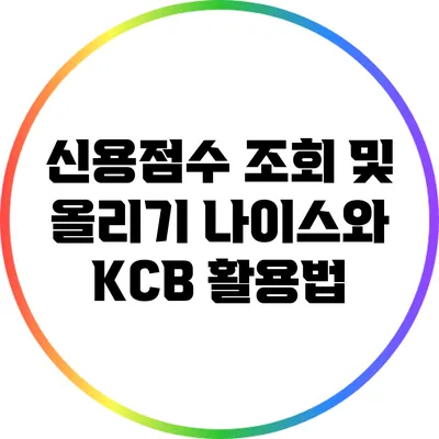 신용점수 조회 및 올리기: 나이스와 KCB 활용법