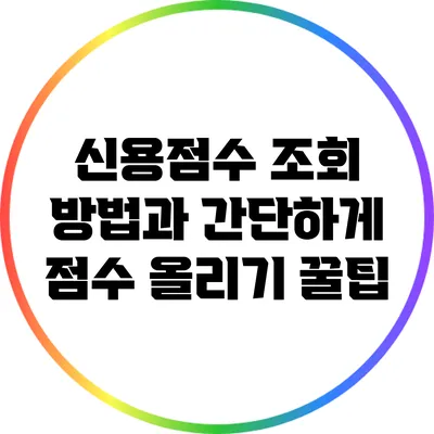 신용점수 조회 방법과 간단하게 점수 올리기 꿀팁