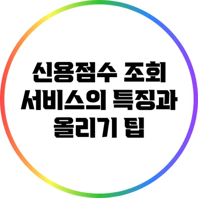 신용점수 조회 서비스의 특징과 올리기 팁
