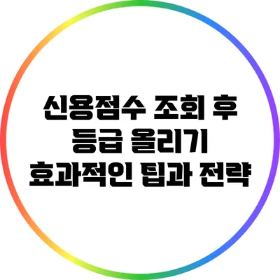 신용점수 조회 후 등급 올리기: 효과적인 팁과 전략