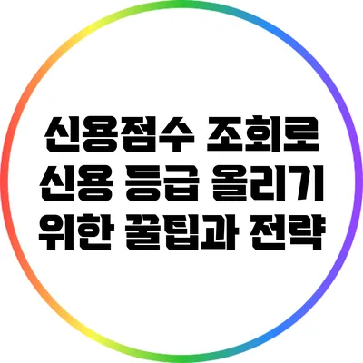 신용점수 조회로 신용 등급 올리기 위한 꿀팁과 전략