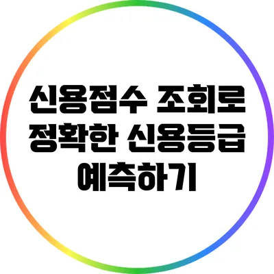 신용점수 조회로 정확한 신용등급 예측하기