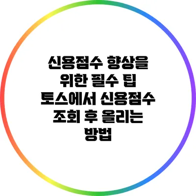 신용점수 향상을 위한 필수 팁: 토스에서 신용점수 조회 후 올리는 방법
