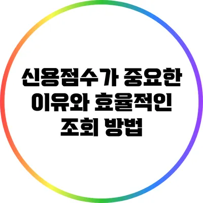 신용점수가 중요한 이유와 효율적인 조회 방법