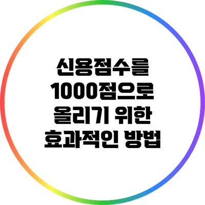 신용점수를 1000점으로 올리기 위한 효과적인 방법