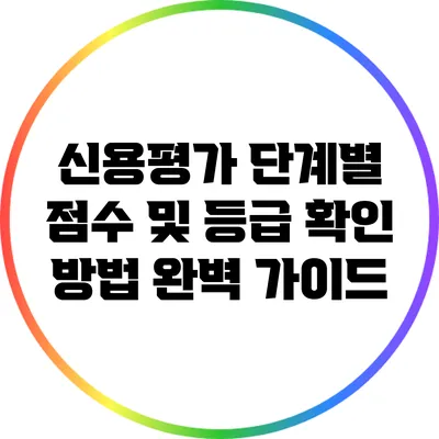 신용평가 단계별 점수 및 등급 확인 방법 완벽 가이드