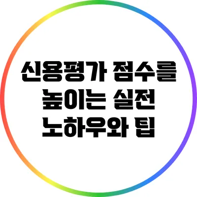 신용평가 점수를 높이는 실전 노하우와 팁