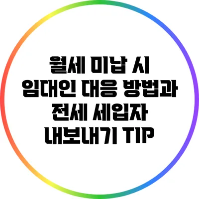 월세 미납 시 임대인 대응 방법과 전세 세입자 내보내기 TIP