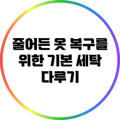 줄어든 옷 복구를 위한 기본 세탁 다루기