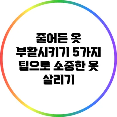 줄어든 옷 부활시키기: 5가지 팁으로 소중한 옷 살리기