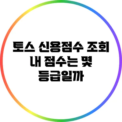 토스 신용점수 조회: 내 점수는 몇 등급일까?