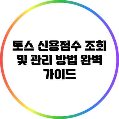 토스 신용점수 조회 및 관리 방법 완벽 가이드