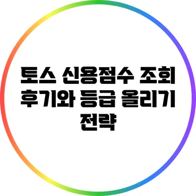 토스 신용점수 조회 후기와 등급 올리기 전략