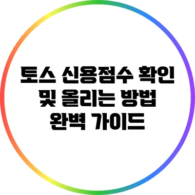 토스 신용점수 확인 및 올리는 방법 완벽 가이드