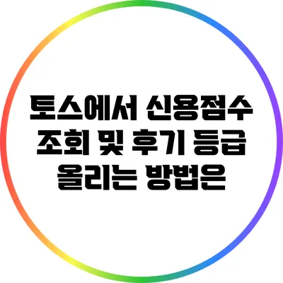 토스에서 신용점수 조회 및 후기: 등급 올리는 방법은?