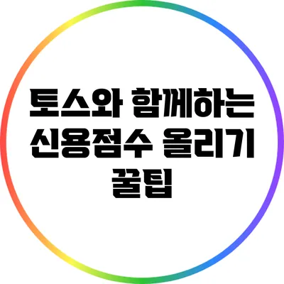 토스와 함께하는 신용점수 올리기 꿀팁