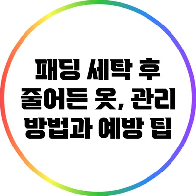 패딩 세탁 후 줄어든 옷, 관리 방법과 예방 팁