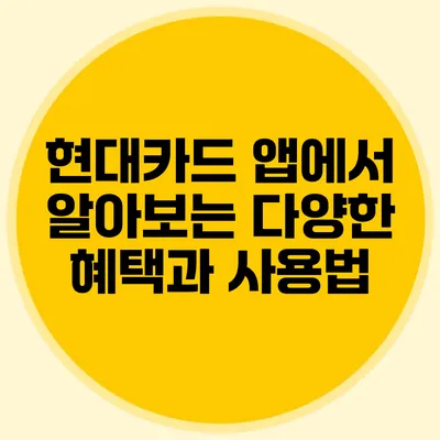 현대카드 앱에서 알아보는 다양한 혜택과 사용법