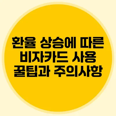 환율 상승에 따른 비자카드 사용 꿀팁과 주의사항