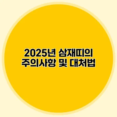 2025년 삼재띠의 주의사항 및 대처법