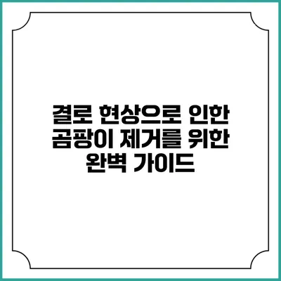 결로 현상으로 인한 곰팡이 제거를 위한 완벽 가이드