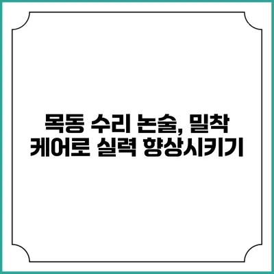 목동 수리 논술, 밀착 케어로 실력 향상시키기