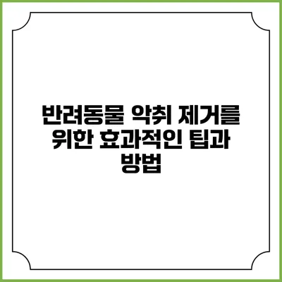 반려동물 악취 제거를 위한 효과적인 팁과 방법