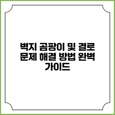 벽지 곰팡이 및 결로 문제 해결 방법 완벽 가이드