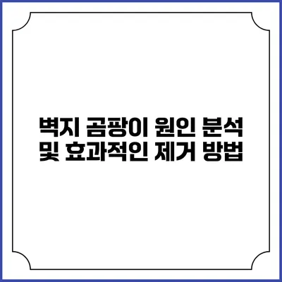 벽지 곰팡이 원인 분석 및 효과적인 제거 방법