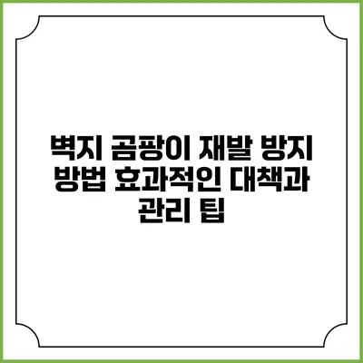 벽지 곰팡이 재발 방지 방법: 효과적인 대책과 관리 팁