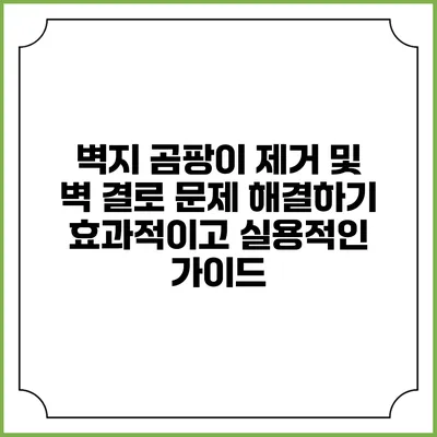 벽지 곰팡이 제거 및 벽 결로 문제 해결하기: 효과적이고 실용적인 가이드